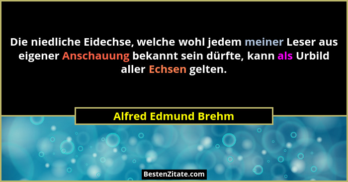 Die niedliche Eidechse, welche wohl jedem meiner Leser aus eigener Anschauung bekannt sein dürfte, kann als Urbild aller Echsen... - Alfred Edmund Brehm
