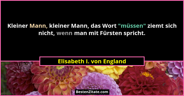 Kleiner Mann, kleiner Mann, das Wort "müssen" ziemt sich nicht, wenn man mit Fürsten spricht.... - Elisabeth I. von England