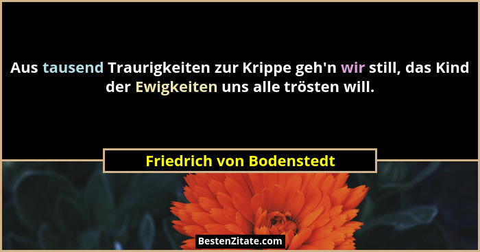Aus tausend Traurigkeiten zur Krippe geh'n wir still, das Kind der Ewigkeiten uns alle trösten will.... - Friedrich von Bodenstedt