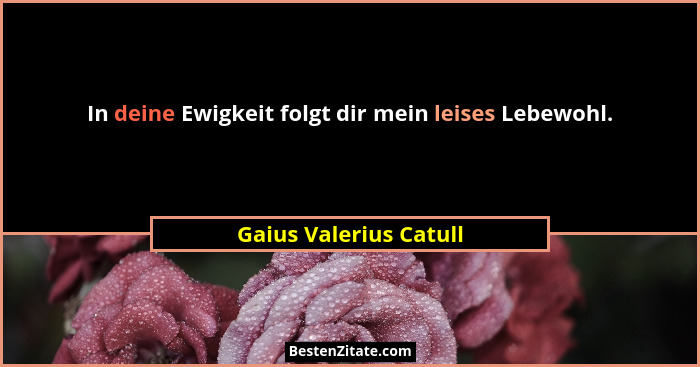 In deine Ewigkeit folgt dir mein leises Lebewohl.... - Gaius Valerius Catull
