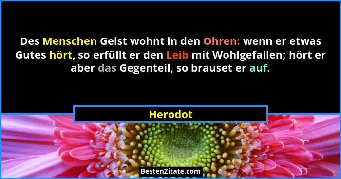 Des Menschen Geist wohnt in den Ohren: wenn er etwas Gutes hört, so erfüllt er den Leib mit Wohlgefallen; hört er aber das Gegenteil, so bra... - Herodot