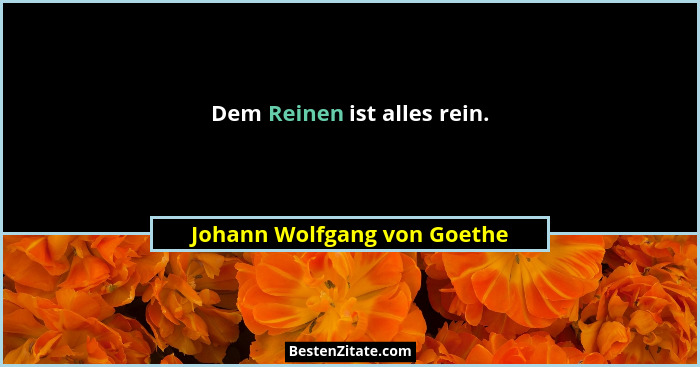 Dem Reinen ist alles rein.... - Johann Wolfgang von Goethe