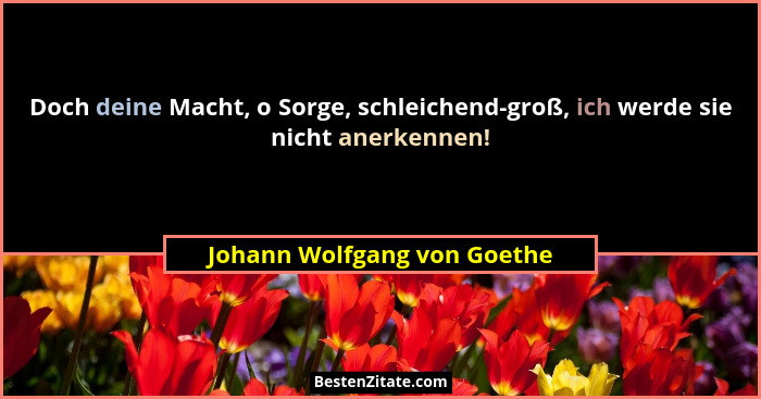 Doch deine Macht, o Sorge, schleichend-groß, ich werde sie nicht anerkennen!... - Johann Wolfgang von Goethe