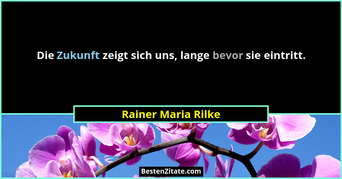 Die Zukunft zeigt sich uns, lange bevor sie eintritt.... - Rainer Maria Rilke