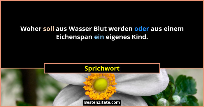 Woher soll aus Wasser Blut werden oder aus einem Eichenspan ein eigenes Kind.... - Sprichwort