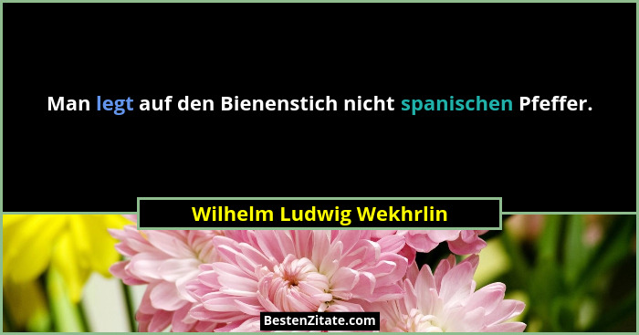 Man legt auf den Bienenstich nicht spanischen Pfeffer.... - Wilhelm Ludwig Wekhrlin