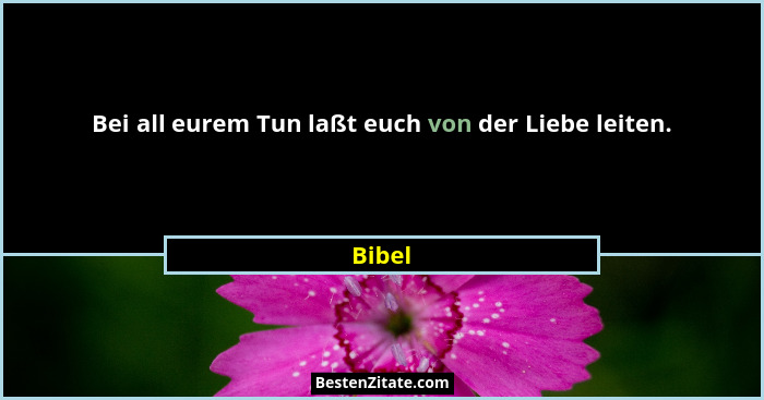 Bei all eurem Tun laßt euch von der Liebe leiten.... - Bibel