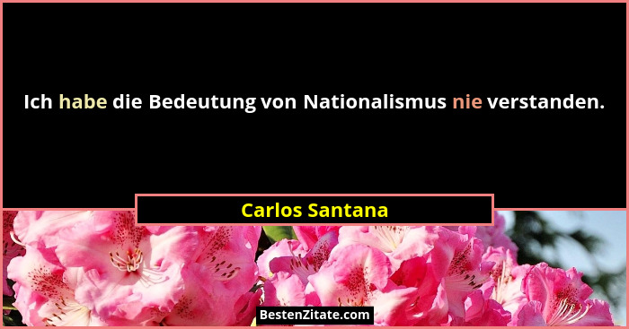Ich habe die Bedeutung von Nationalismus nie verstanden.... - Carlos Santana