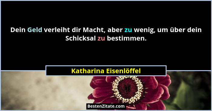 Dein Geld verleiht dir Macht, aber zu wenig, um über dein Schicksal zu bestimmen.... - Katharina Eisenlöffel