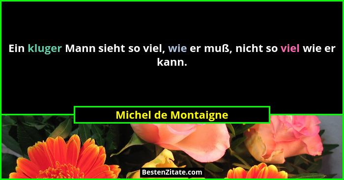 Ein kluger Mann sieht so viel, wie er muß, nicht so viel wie er kann.... - Michel de Montaigne