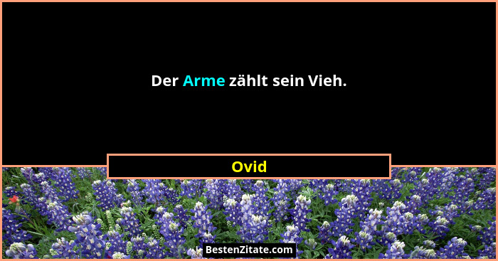 Der Arme zählt sein Vieh.... - Ovid