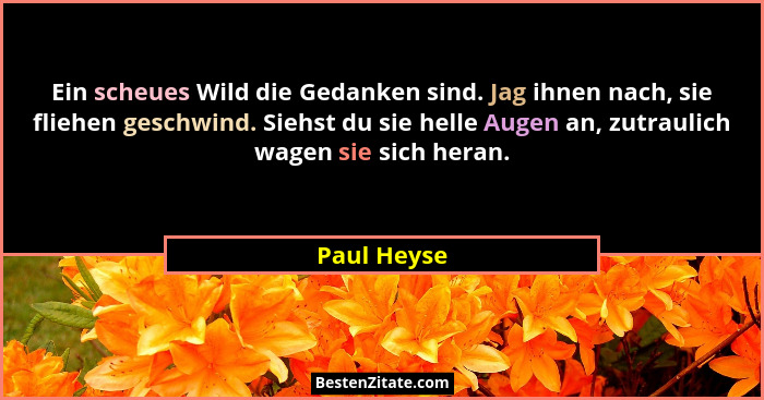 Ein scheues Wild die Gedanken sind. Jag ihnen nach, sie fliehen geschwind. Siehst du sie helle Augen an, zutraulich wagen sie sich heran.... - Paul Heyse