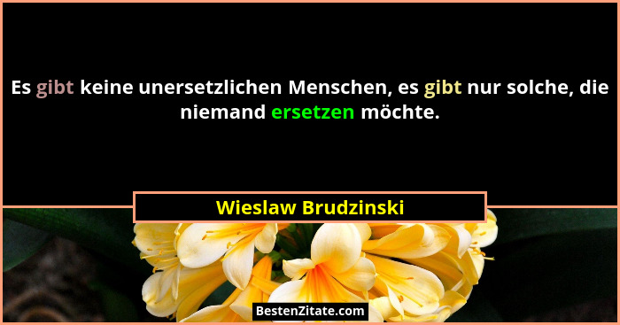 Es gibt keine unersetzlichen Menschen, es gibt nur solche, die niemand ersetzen möchte.... - Wieslaw Brudzinski