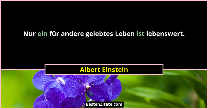 Nur ein für andere gelebtes Leben ist lebenswert.... - Albert Einstein