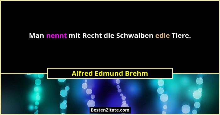 Man nennt mit Recht die Schwalben edle Tiere.... - Alfred Edmund Brehm
