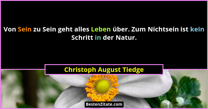 Von Sein zu Sein geht alles Leben über. Zum Nichtsein ist kein Schritt in der Natur.... - Christoph August Tiedge