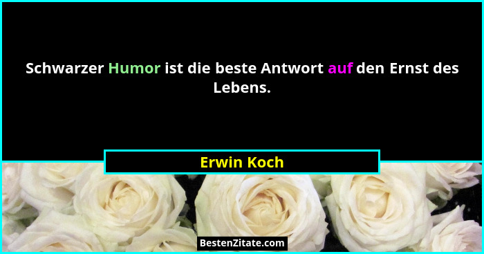 Schwarzer Humor ist die beste Antwort auf den Ernst des Lebens.... - Erwin Koch