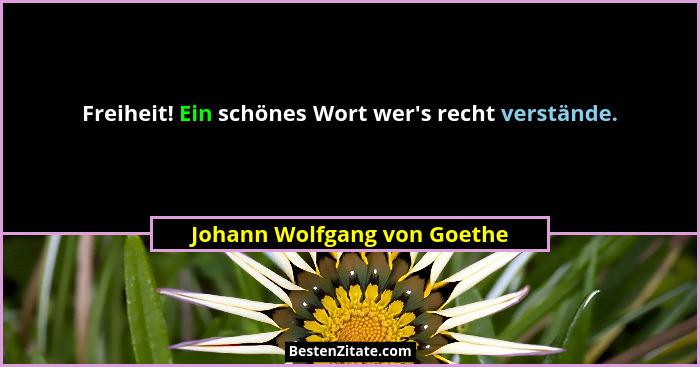 Freiheit! Ein schönes Wort wer's recht verstände.... - Johann Wolfgang von Goethe