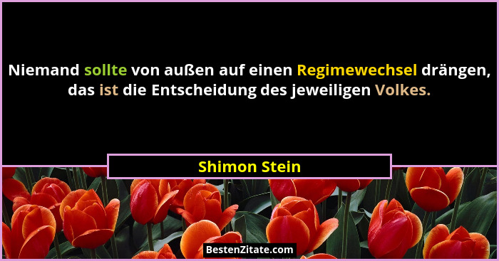 Niemand sollte von außen auf einen Regimewechsel drängen, das ist die Entscheidung des jeweiligen Volkes.... - Shimon Stein