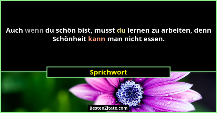Auch wenn du schön bist, musst du lernen zu arbeiten, denn Schönheit kann man nicht essen.... - Sprichwort