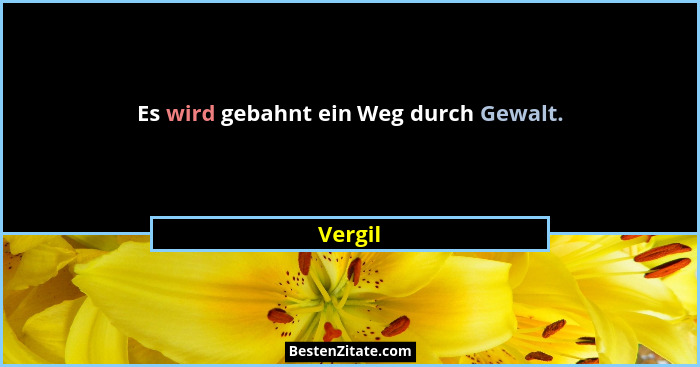 Es wird gebahnt ein Weg durch Gewalt.... - Vergil
