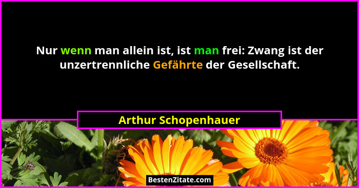 Nur wenn man allein ist, ist man frei: Zwang ist der unzertrennliche Gefährte der Gesellschaft.... - Arthur Schopenhauer