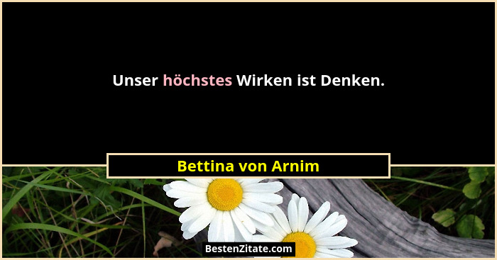 Unser höchstes Wirken ist Denken.... - Bettina von Arnim