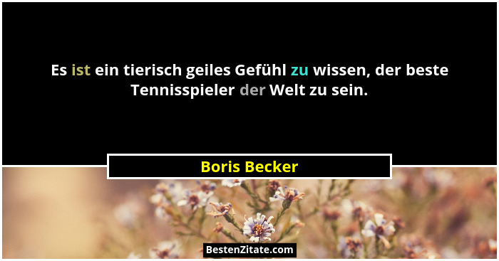 Es ist ein tierisch geiles Gefühl zu wissen, der beste Tennisspieler der Welt zu sein.... - Boris Becker