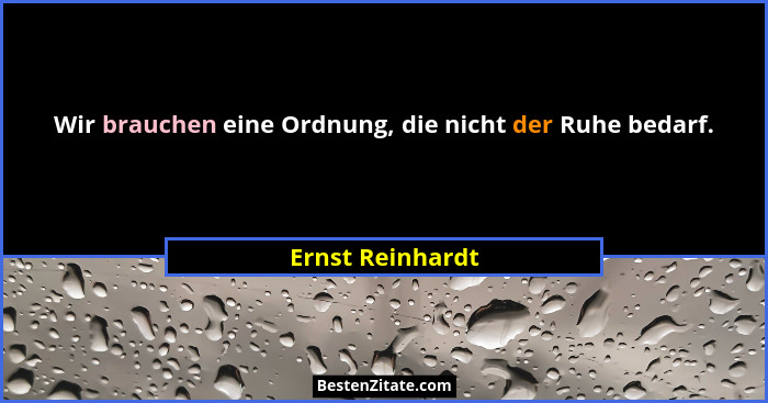 Wir brauchen eine Ordnung, die nicht der Ruhe bedarf.... - Ernst Reinhardt