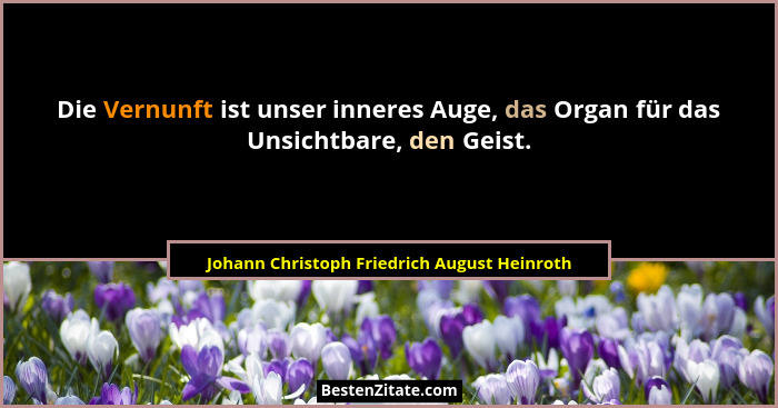 Die Vernunft ist unser inneres Auge, das Organ für das Unsichtbare, den Geist.... - Johann Christoph Friedrich August Heinroth