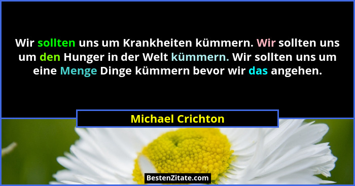 Wir sollten uns um Krankheiten kümmern. Wir sollten uns um den Hunger in der Welt kümmern. Wir sollten uns um eine Menge Dinge kümm... - Michael Crichton