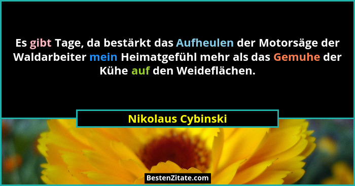 Es gibt Tage, da bestärkt das Aufheulen der Motorsäge der Waldarbeiter mein Heimatgefühl mehr als das Gemuhe der Kühe auf den Weid... - Nikolaus Cybinski