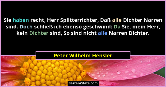 Sie haben recht, Herr Splitterrichter, Daß alle Dichter Narren sind. Doch schließ ich ebenso geschwind: Da Sie, mein Herr, kei... - Peter Wilhelm Hensler