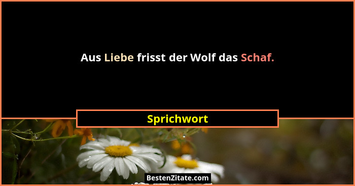 Aus Liebe frisst der Wolf das Schaf.... - Sprichwort