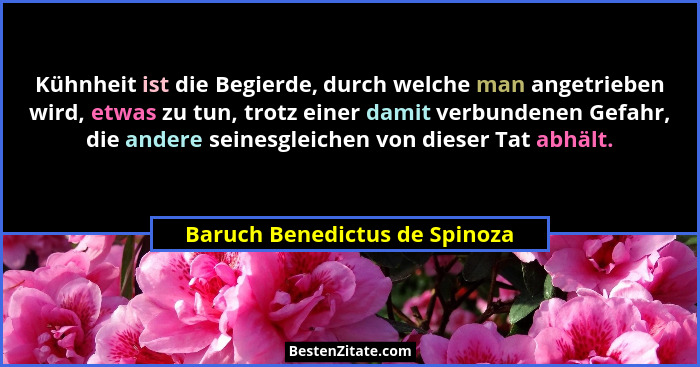 Kühnheit ist die Begierde, durch welche man angetrieben wird, etwas zu tun, trotz einer damit verbundenen Gefahr, die a... - Baruch Benedictus de Spinoza