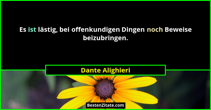 Es ist lästig, bei offenkundigen Dingen noch Beweise beizubringen.... - Dante Alighieri
