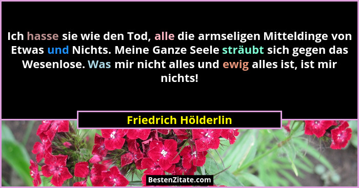 Ich hasse sie wie den Tod, alle die armseligen Mitteldinge von Etwas und Nichts. Meine Ganze Seele sträubt sich gegen das Wesenl... - Friedrich Hölderlin