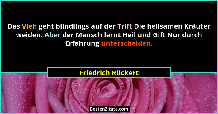 Das Vieh geht blindlings auf der Trift Die heilsamen Kräuter weiden. Aber der Mensch lernt Heil und Gift Nur durch Erfahrung unter... - Friedrich Rückert