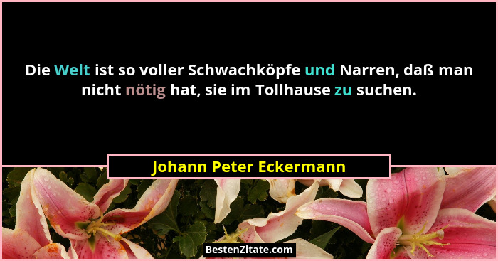 Die Welt ist so voller Schwachköpfe und Narren, daß man nicht nötig hat, sie im Tollhause zu suchen.... - Johann Peter Eckermann