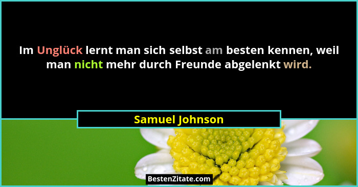 Im Unglück lernt man sich selbst am besten kennen, weil man nicht mehr durch Freunde abgelenkt wird.... - Samuel Johnson