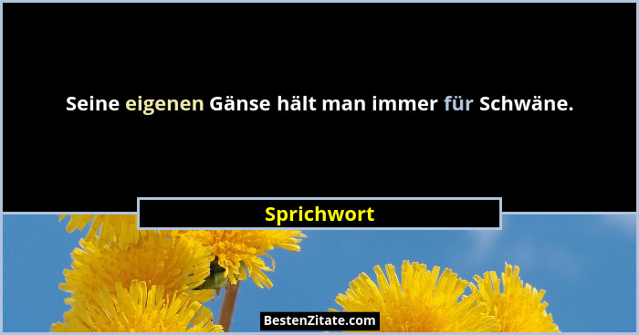 Seine eigenen Gänse hält man immer für Schwäne.... - Sprichwort