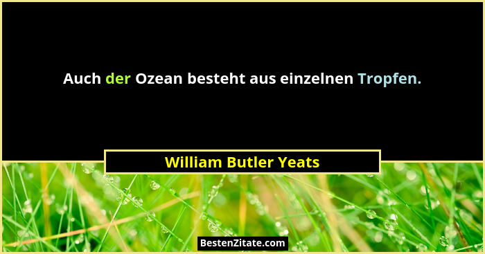 Auch der Ozean besteht aus einzelnen Tropfen.... - William Butler Yeats