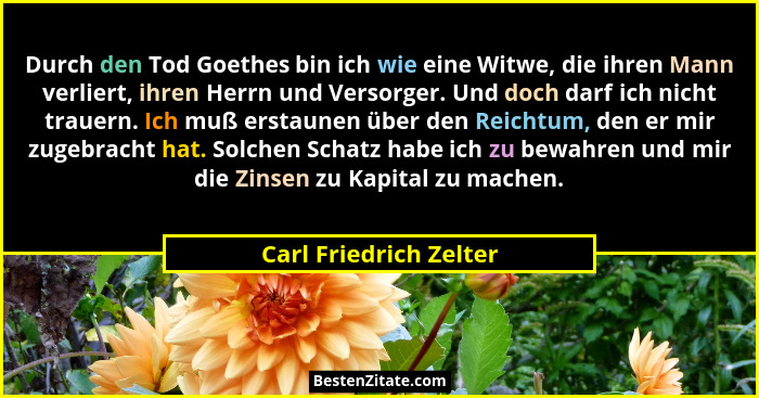 Durch den Tod Goethes bin ich wie eine Witwe, die ihren Mann verliert, ihren Herrn und Versorger. Und doch darf ich nicht trau... - Carl Friedrich Zelter