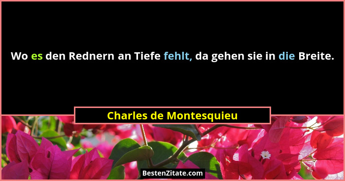 Wo es den Rednern an Tiefe fehlt, da gehen sie in die Breite.... - Charles de Montesquieu