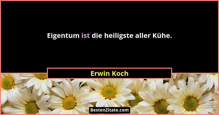 Eigentum ist die heiligste aller Kühe.... - Erwin Koch