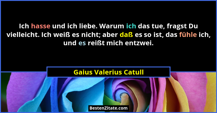 Ich hasse und ich liebe. Warum ich das tue, fragst Du vielleicht. Ich weiß es nicht; aber daß es so ist, das fühle ich, und es... - Gaius Valerius Catull