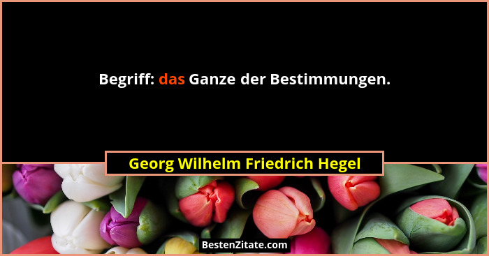 Begriff: das Ganze der Bestimmungen.... - Georg Wilhelm Friedrich Hegel