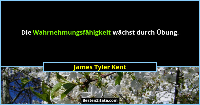 Die Wahrnehmungsfähigkeit wächst durch Übung.... - James Tyler Kent