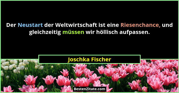 Der Neustart der Weltwirtschaft ist eine Riesenchance, und gleichzeitig müssen wir höllisch aufpassen.... - Joschka Fischer