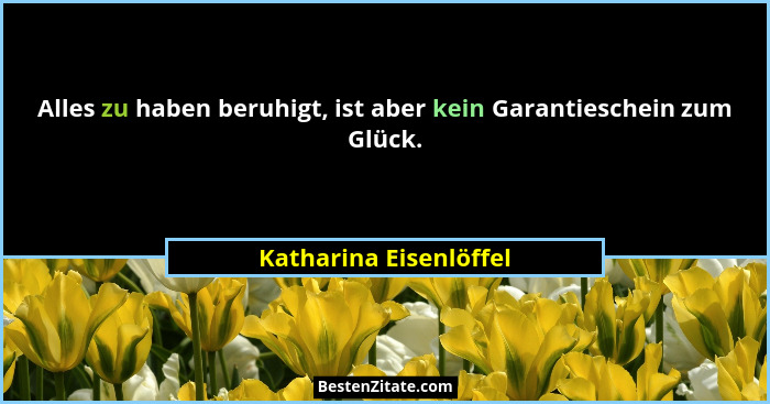 Alles zu haben beruhigt, ist aber kein Garantieschein zum Glück.... - Katharina Eisenlöffel